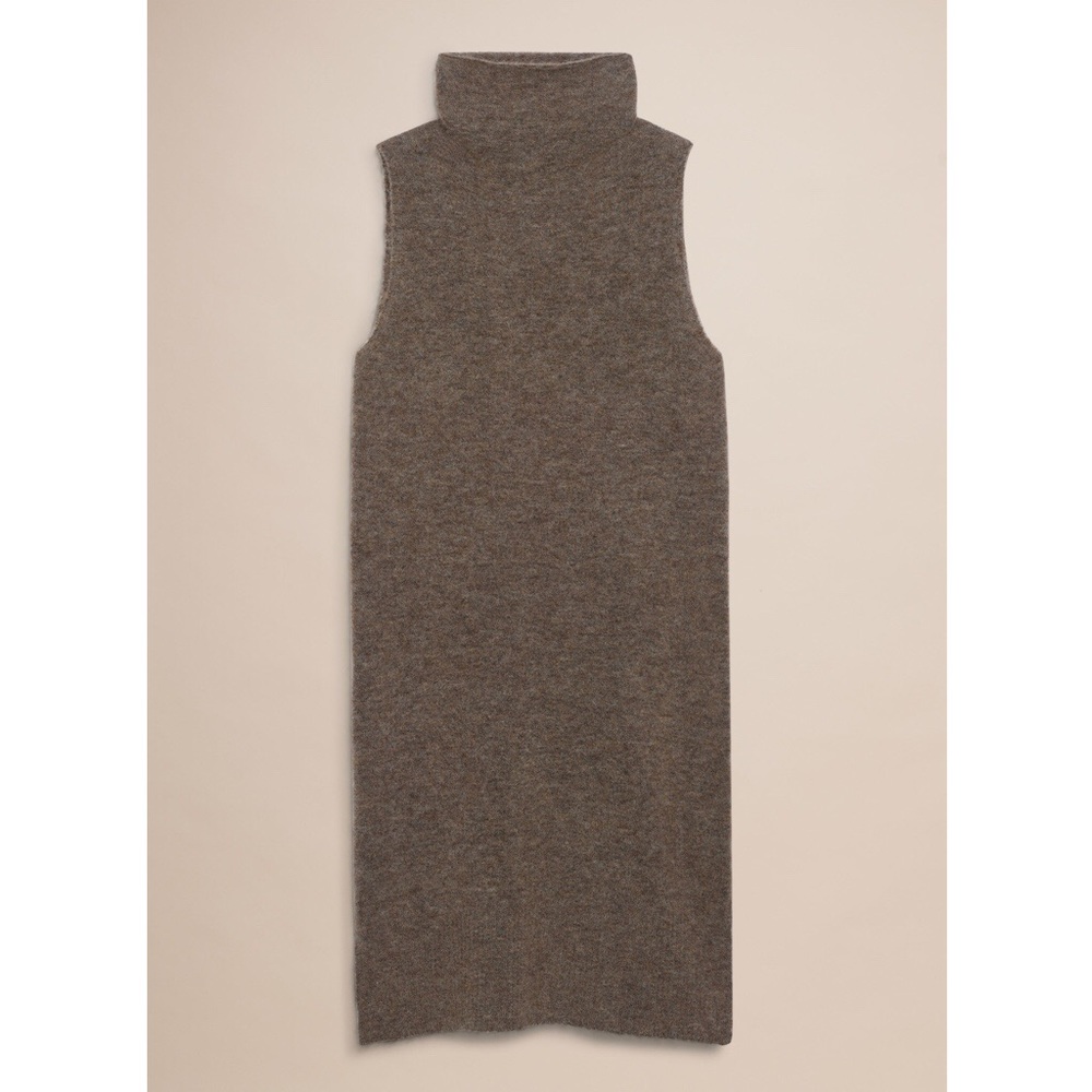Aritzia Moldovan Dress